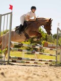 DSC07584 DSC07584
