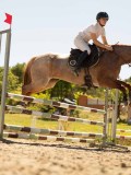DSC07585 DSC07585