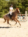 DSC07586 DSC07586