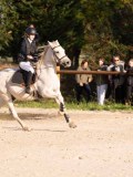DSC06428 DSC06428