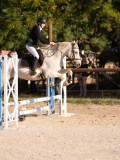 DSC06429 DSC06429