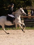 DSC06430 DSC06430