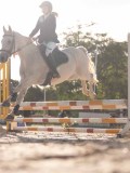 DSC06433 DSC06433