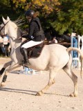 DSC06434 DSC06434