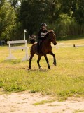 DSC09880
