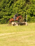 DSC09885