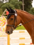 DSC05640 DSC05640