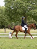 IMG_0820