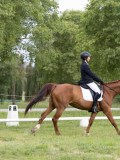 IMG_0821 IMG_0821