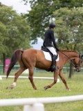 IMG_0822 IMG_0822