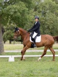 IMG_0825 IMG_0825