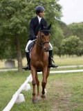 IMG_0826 IMG_0826