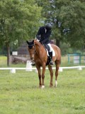 IMG_0830 IMG_0830
