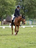 IMG_0831 IMG_0831