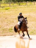 DSC03910 DSC03910