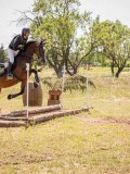 IMG_9501 IMG_9501