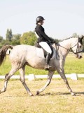 24_04029 24_04029