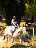 DSC00120 DSC00120