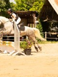 DSC09756 DSC09756