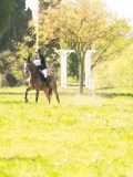 DSC00246 DSC00246