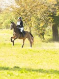 DSC00247 DSC00247