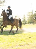 DSC00250 DSC00250
