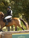 DSC00265 DSC00265