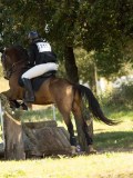 DSC00266 DSC00266