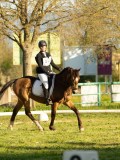 DSC08147 DSC08147