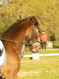 DSC08158 DSC08158