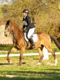 DSC08166 DSC08166