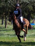 IMG_1834 IMG_1834