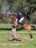 IMG_1840 IMG_1840
