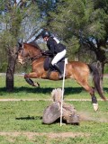 IMG_1841 IMG_1841