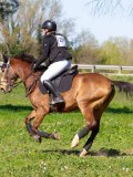 IMG_1846 IMG_1846