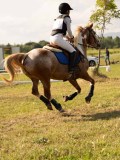 DSC00074 DSC00074
