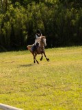 DSC00087 DSC00087
