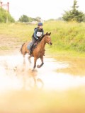 DSC08180 DSC08180