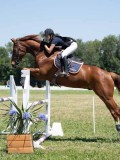 AP103580 AP103580