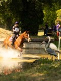 DSC00178 DSC00178