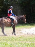 IMG_5292