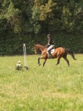 DSC00906