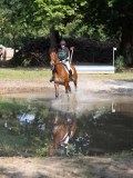 IMG_7485