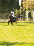 DSC00357 DSC00357