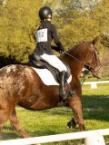 DSC08186 DSC08186