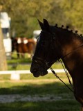 DSC08189 DSC08189