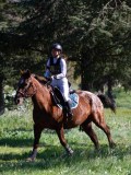 IMG_1946 IMG_1946