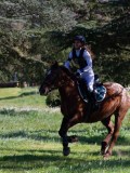 IMG_1948 IMG_1948