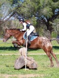 IMG_1954 IMG_1954