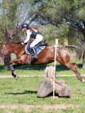 IMG_1955 IMG_1955